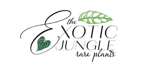 The Exotic Jungle